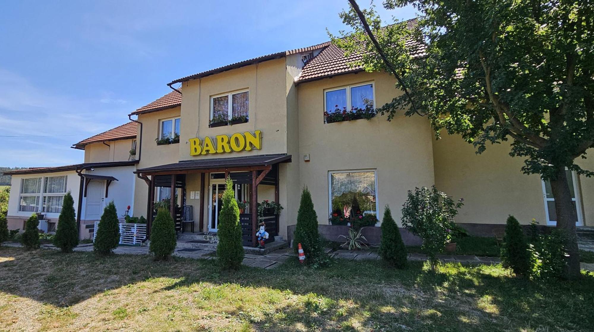 Pensiunea Baron Bazna Εξωτερικό φωτογραφία